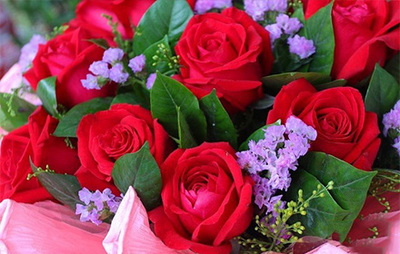 佳丽花艺19支玫瑰团购 用鲜花传递爱与美好