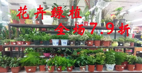 年卉盛宴 花卉贺新年，全场7.9折送好礼