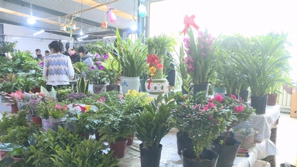 甘州 花卉市场年味浓 走亲访友新时尚